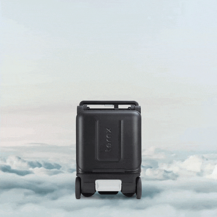 Carry On Luggage Stroller