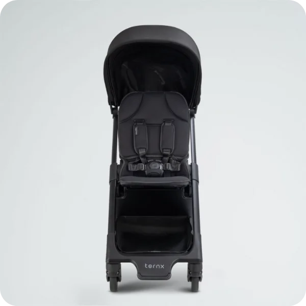 Carry On Luggage Stroller